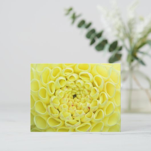 ダリア ポストカード (スタンド正面)