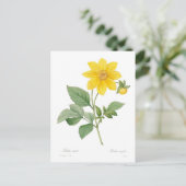 ダリア ポストカード (スタンド正面)
