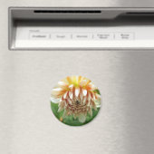 ダリア マグネット (インサイチュ (食洗機))