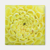 ダリア マグネット (正面)