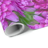 ダリア…..... ラッピングペーパー (ロールコーナー)