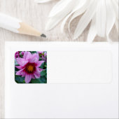 ダリア ラベル (インサイチュ)