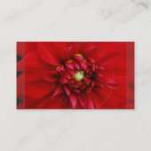 ダリア 名刺 (裏面)