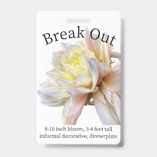 ダリアIDバッジを活用しよう バッジ (正面)