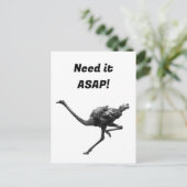 ダリランニングヒのクールアスリート動物 ポストカード (スタンド正面)