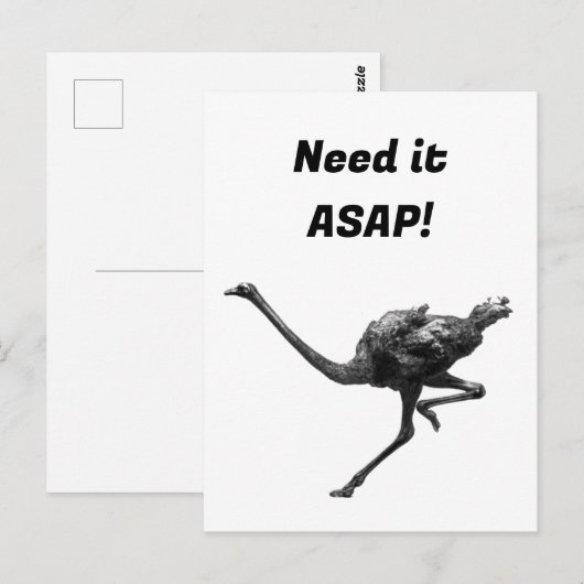 ダリランニングヒのクールアスリート動物 ポストカード (正面/裏面)