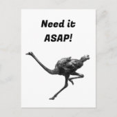 ダリランニングヒのクールアスリート動物 ポストカード (正面)