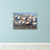 ダリンズとサンダリングの群れがビーチ キャンバスプリント (インサイチュ (ウッドフロア))