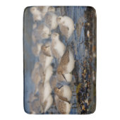 ダリンズとサンダリングの群れがビーチ バスマット (正面縦)