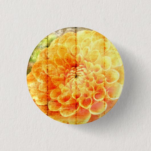 ダリー 缶バッジ (正面)