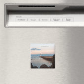 ダルスハーバー北桟橋ライトマグネットダルス， MN マグネット (インサイチュ (食洗機))