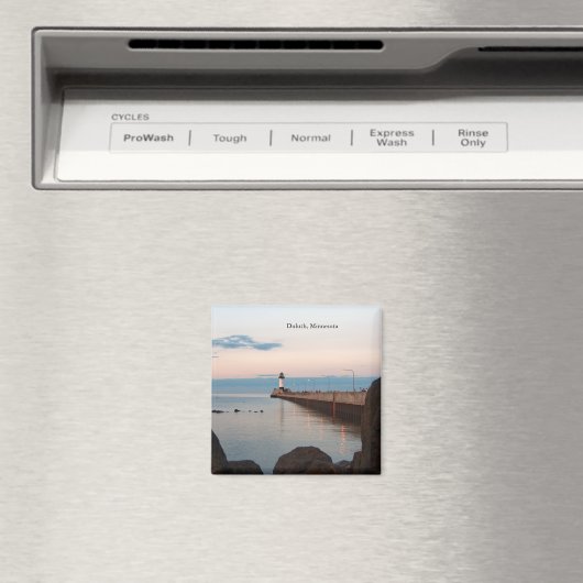 ダルスハーバー北桟橋ライトマグネットダルス， MN マグネット (インサイチュ (食洗機))