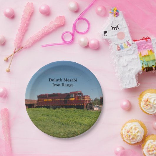 ダルスメサビアイアンレンジエン316紙プレート ペーパープレート (パーティー)