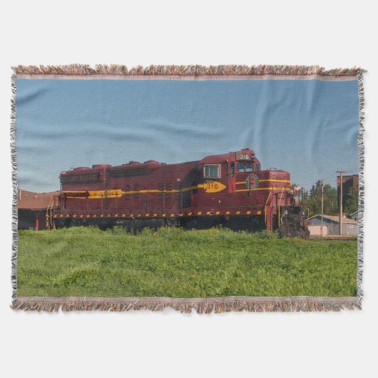 ダルスメサビアイアンレンジEng 316スローブランケット スローブランケット (正面)