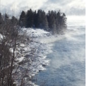 ダルスライトハウス運河パークウィンタースノーアンドアイス サンキューカード