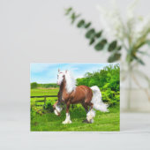 「ダルトン」 ポストカード (スタンド正面)