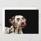 ダルマタイナー サンキューカード (正面/裏面)