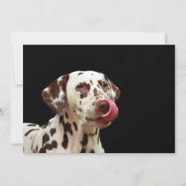 ダルマタイナー サンキューカード