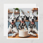 ダルマチアのグリーティングカード、ダルマチアの誕生日 招待状 (正面/裏面)