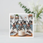 ダルマチアのグリーティングカード、ダルマチアの誕生日 招待状 (スタンド正面)