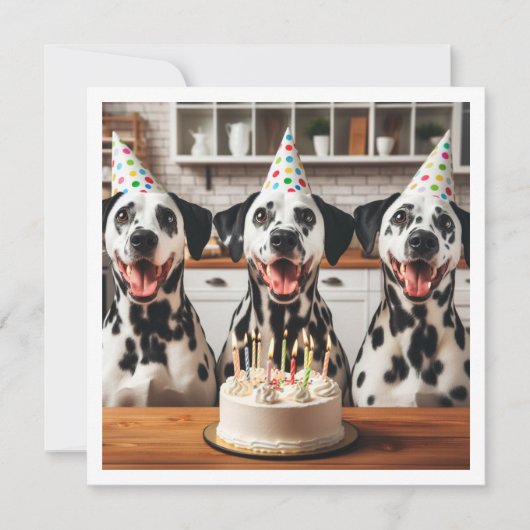 ダルマチアのグリーティングカード、ダルマチアの誕生日 招待状 (正面)