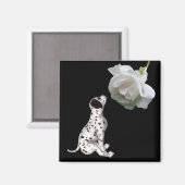 ダルマチアの子犬と白いバラの磁石 マグネット (正面/裏面)