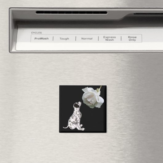 ダルマチアの子犬と白いバラの磁石 マグネット (インサイチュ (食洗機))