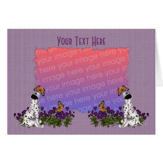 ダルマチアの子犬の蝶の写真 (正面横)