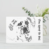 ダルマチアの招待状 招待状 (スタンド正面)