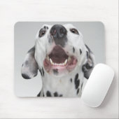 ダルマチアの犬のクローズアップ マウスパッド (マウス)