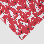 ダルマチアの足と骨 薄葉紙 (詳細)