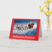 ダルマチアントナカイ カード (黄色い花)