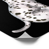 ダルマチアンパピースニージングホワイトローズ ポスター (角)