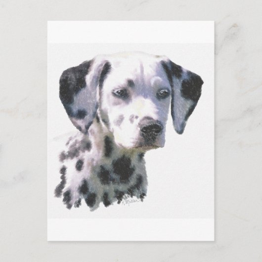 ダルマチアンパピー ポストカード (正面)