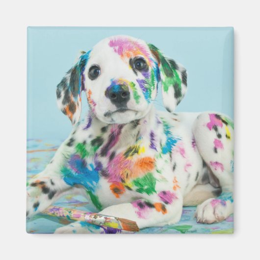 ダルマチアンパピー マグネット (正面)