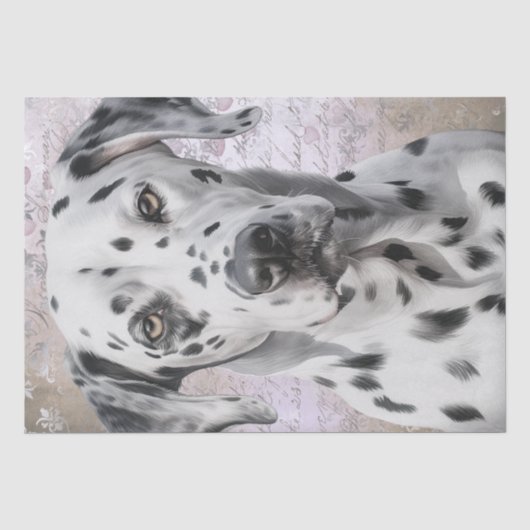 ダルマチアン犬 薄葉紙 (正面)