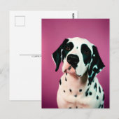 ダルマチアン、ポストクロッシングポストカード ポストカード (正面/裏面)