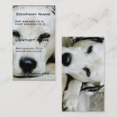 ダルマチア人の休息の名刺 名刺 (正面/裏面)