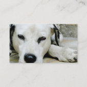 ダルマチア人の休息の名刺 名刺 (裏面)