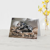 ダルマチア人はとどまります カード (黄色い花)