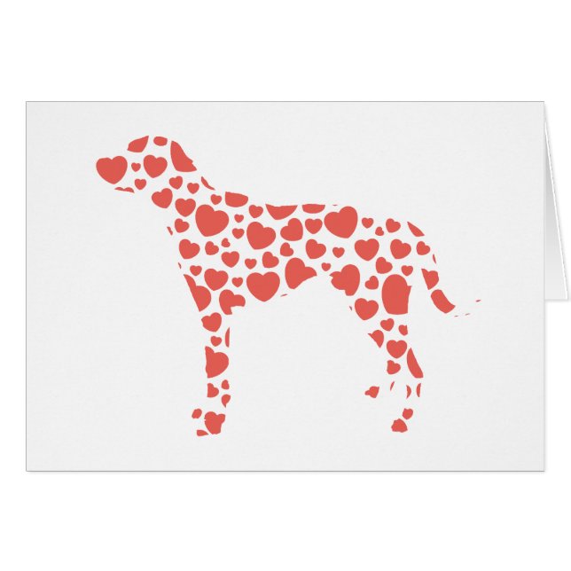 ダルマチア人 (正面横)