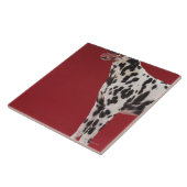 ダルマチア人6 タイル (側面)