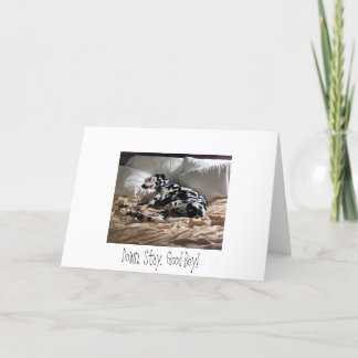 ダルマチア人。  。  滞在。  よい男の子! カード