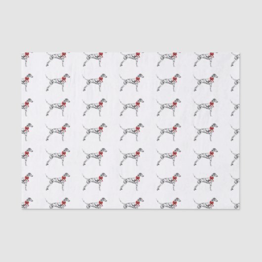 ダルマチア人 薄葉紙 (正面)