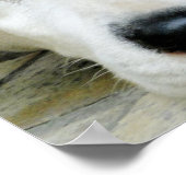 ダルマチア休息ポスター ポスター (角)