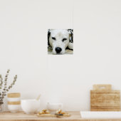 ダルマチア休息ポスター ポスター (キッチン)