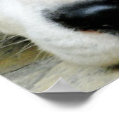 ダルマチア休息ポスター ポスター (角)