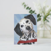 ダルマチア写真 ポストカード (スタンド正面)