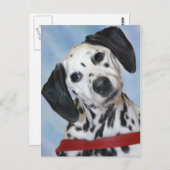 ダルマチア写真 ポストカード (正面/裏面)