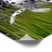 ダルマチア1 – 星空の夜（ヴェルト） ポスター (角)